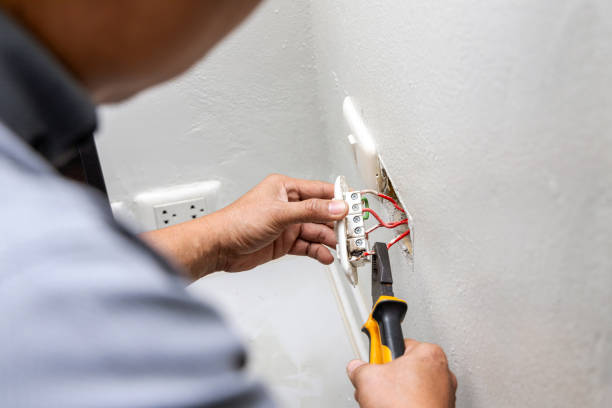Best Electrical Upgrades for Homes  in Crainvle, IL
