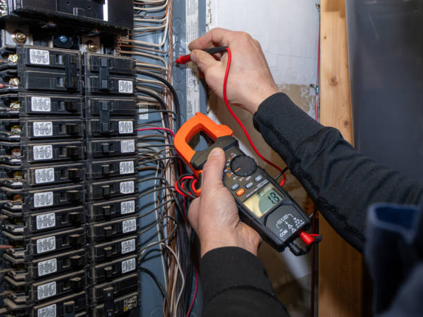Best Electrical Rewiring Services  in Crainvle, IL
